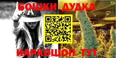 индика Кунгур