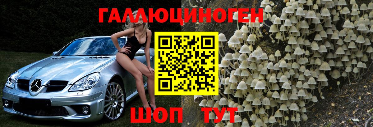 Кизляр  Галлюциногенные грибы MAGIC MUSHROOMS  Вход с VPN 